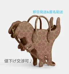 coach コーチ ショルダーバッグ レキシー シグネチャー 新品！！正規品