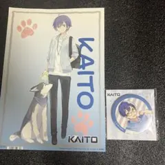 DTMソフト KAITO カイト V1 未開封品 - メルカリ