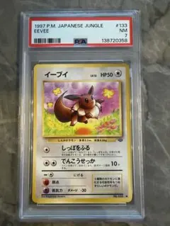 希少‼️イーブイカード2枚セット即購入、値下げ交渉⭕️ 希少‼️イーブイカード2枚セット即購入、値下げ交渉⭕️