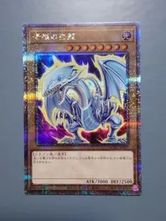 青眼の白龍 25thシク 絵違い