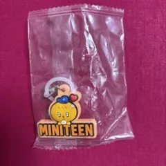 SEVENTEEN スングァン MINITEEN めじるしアクセサリー