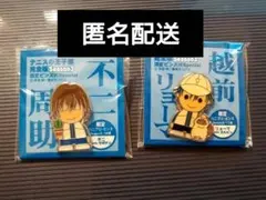 テニスの王子様 テニプリ 缶バッジ ミニアクスタ 原作 赤澤吉朗 2点