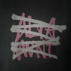 新品　Altamont オルタモント　スケートボード　baker スラッシャー