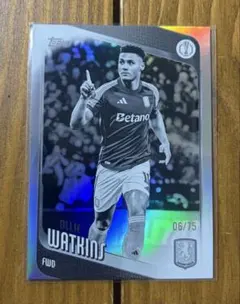 Item thumbnail for item 3f7587a8-34b0-4bed-b73c-a36f2af622ea