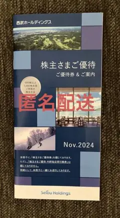 西武ホールディングス　株主優待　冊子