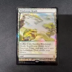 2025年最新】吹きさらしの荒野 FOILの人気アイテム - メルカリ