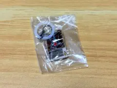 仮面ライダー めじるしアクセサリー2 ラウズカード