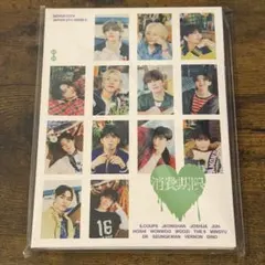 SEVENTEEN 消費期限 Carat盤