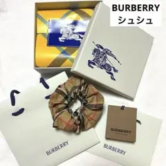 2026年最新】BURBERRY レディース ヘアゴム・シュシュの人気アイテム