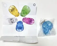 STC スケルトンズ イン スケルトンカラー　骨格標本　頭蓋骨　ブルーベリー　青