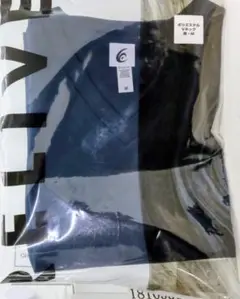 Item thumbnail for item 95722478-6ee6-493c-853f-d0957b76650c