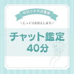 【チャット鑑定40分】ご予約受付中✦20時～可能です