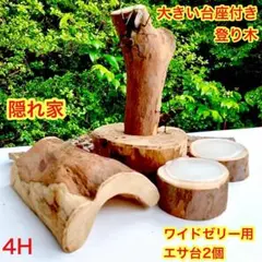 2026年最新】昆虫用止まり木・インセクトシェルターの人気アイテム