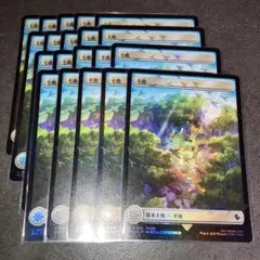平地　チョコボトラックfoil 20枚セット　日本語　MTG