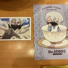 amocafe Dr.stone 特典　場面写フォトカード　氷月