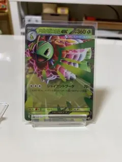 メガメガニウムex ノーマル&ミラー メガメガニウムex[ミラー仕様]【ポケモンカードトレカお買得価格通販