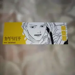 カグラバチ　柴　しおり
