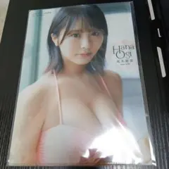 Item thumbnail for item 5e6e3fee-952d-4615-ac37-ab4c9f6338a8