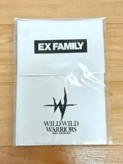 EXILE THE SECOND ファンクラブブース 特典 非売品 ポーチ