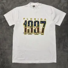 90s USA製　フルーツオブザルーム　シングルステッチ　Tシャツ　プリント古着