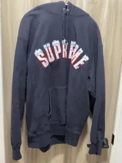 シュプリーム アーチ 刺繍ロゴ 雪 入手困難 パーカー　ともやの暮らし　窪塚洋介 希少XLサイズ】シュプリーム 雪アーチ刺繍ロゴ入りパーカー 入手