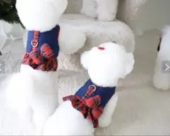 【carocara】Check Reversible ハーネス&リードセットのサムネイル