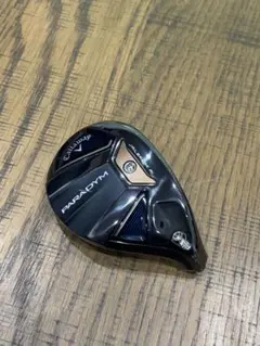 2026年最新】 パラダイム ユーティリティ ヘッドのみの人気アイテム