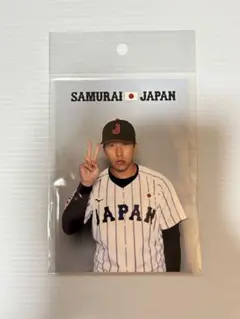 侍ジャパン プロマイド 大勢 a