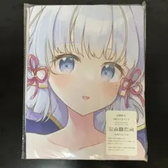 2025年最新】神里綾華抱き枕カバーの人気アイテム - メルカリ