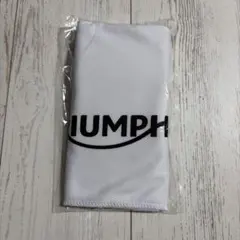 TRIUMPH アイスタオル ホワイトのサムネイル