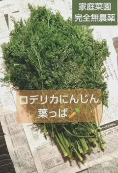 完全無農薬✳️人参の葉っぱ✳️約500gのサムネイル