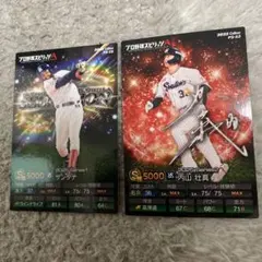 プロ野球スピリッツ　プロスピ　チップス　カード　東京ヤクルトスワローズ