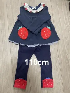 ベイビーチア　いちご　セットアップ