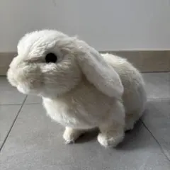 Item thumbnail for item c974f09f-a151-4c58-bf20-3932705b1a47