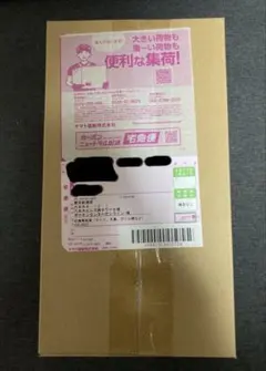 ポケモンセンタートウホクスペシャルBOX ポケセン配送用段ボール 未開封