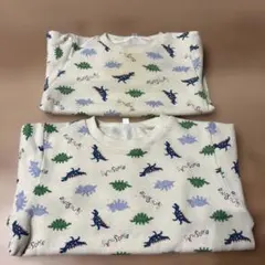 90cm 110cm 恐竜　裏起毛　トレーナー