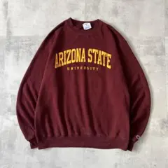 champion チャンピオン　ハーフジップ スウェット　アリゾナ カレッジ　L