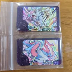 ガチグマ　ボーマンダメガシンカ