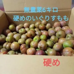 ⑤ 南国指宿産 すもも 8.0Kg - メルカリ
