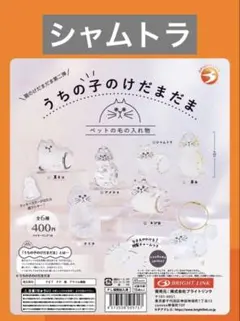 うちの子のけだまだま　猫　第二弾　シャムトラ