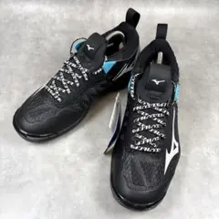 Item thumbnail for item 2e767713-93cc-4558-85aa-aa3eca3bd664