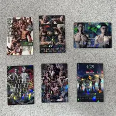 RIZIN ポテトスティック カード 6枚まとめ売り
