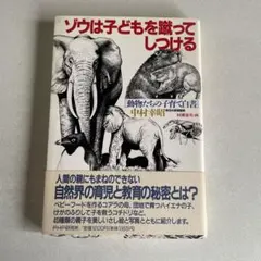 Item thumbnail for item 393d5b6f-2d82-4ebf-b7c0-0050057461a1