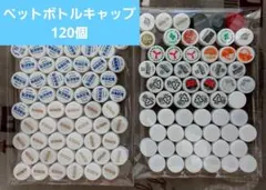 Item thumbnail for item 7b12fd73-e7a8-4abb-8fe6-cbb8b9dc8c9b