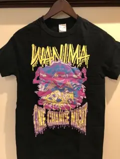 美品】WANIMA ワンチャンフェスTシャツ 2色セット MとXL - メルカリ