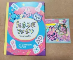 Item thumbnail for item 289d5079-1bee-4b15-bef1-6751d16b69a4