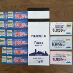 ノジマ株主優待　1000株セット