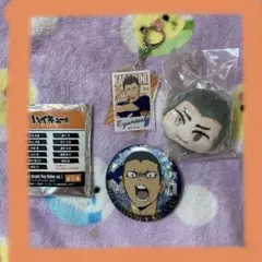 ハイキュー!!烏野高校　田中龍之介アクリルホルダー、バッジ、色紙3枚　6点セット