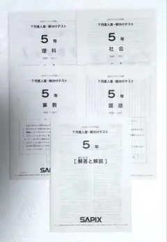 2026年最新】sapix 入室テストの人気アイテム - メルカリ