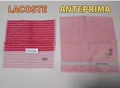 Y【未使用】新生活に！ アンテプリマ × ラコステ タオルハンカチ 2枚セット